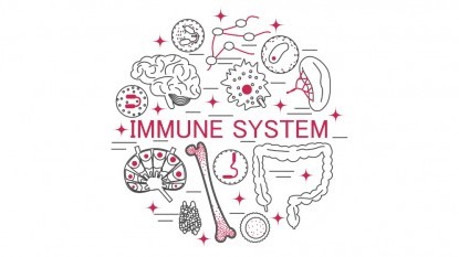 9 dolog, ami gyengíti az immunrendszert